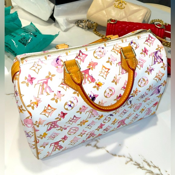 Louis Vuitton Speedy - Watercolor Aquarelle size 30. - Picture 1 of 13